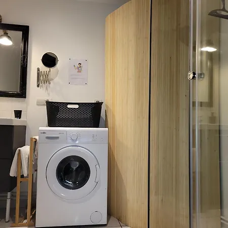 Loft 4 Du Temple Hypercentre & Parking דירה קמברה